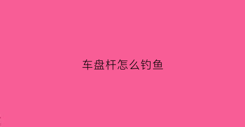 车盘杆怎么钓鱼(车盘钓鱼竿)