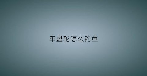 车盘轮怎么钓鱼(盘车渔轮)