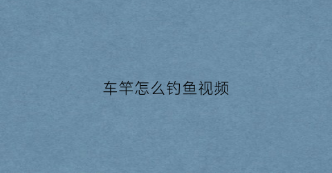 车竿怎么钓鱼视频(车竿钓鱼竿图片)