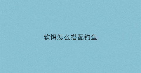 软饵怎么搭配钓鱼(软饵钓什么)