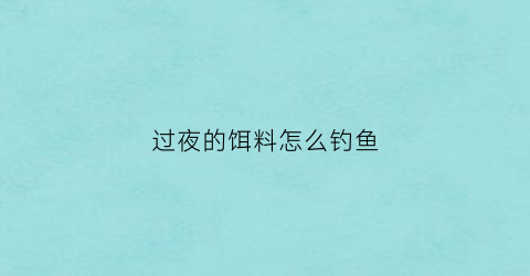 过夜的饵料怎么钓鱼(过夜的饵料怎么钓鱼视频)