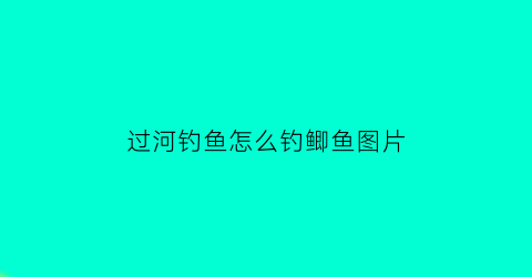 “过河钓鱼怎么钓鲫鱼图片(过河钓钓鲫鱼技巧)