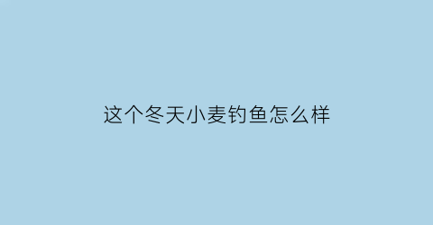 这个冬天小麦钓鱼怎么样(这个冬天小麦钓鱼怎么样呢)