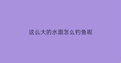 这么大的水面怎么钓鱼呢