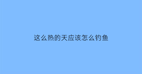 “这么热的天应该怎么钓鱼(天气热怎么钓鱼)