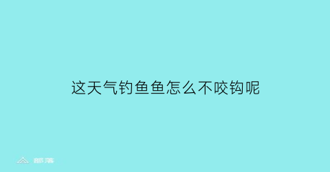 这天气钓鱼鱼怎么不咬钩呢