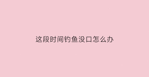 这段时间钓鱼没口怎么办(钓鱼突然间没有口了)