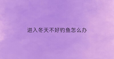 进入冬天不好钓鱼怎么办(进入冬天不好钓鱼怎么办呀)