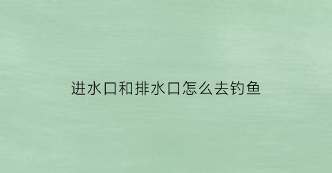 “进水口和排水口怎么去钓鱼(进水口钓鱼钓上游还是下游)