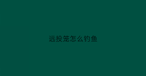 远投笼怎么钓鱼(远投竿钓鱼视频全过程)