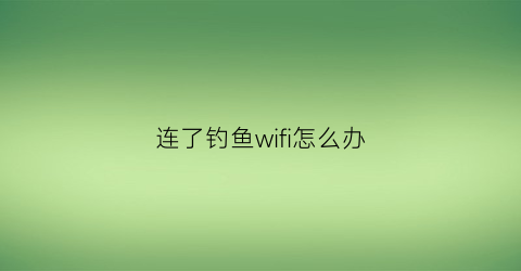 连了钓鱼wifi怎么办(钓鱼wife)