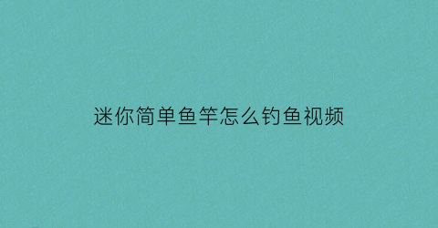 迷你简单鱼竿怎么钓鱼视频