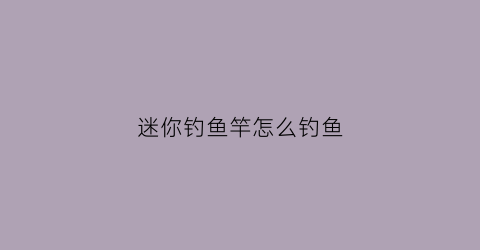 迷你钓鱼竿怎么钓鱼(迷你钓鱼竿什么品牌质量好)