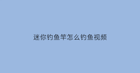迷你钓鱼竿怎么钓鱼视频(迷你钓鱼竿什么品牌质量好)