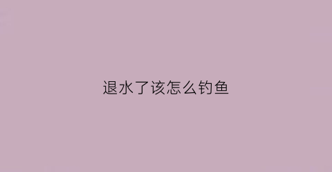 退水了该怎么钓鱼(退水了该怎么钓鱼视频)