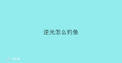 “逆光怎么钓鱼(逆光技巧)