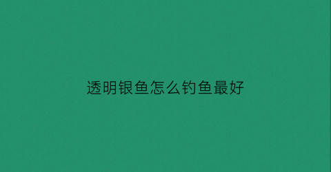 透明银鱼怎么钓鱼最好(银色透明小鱼)