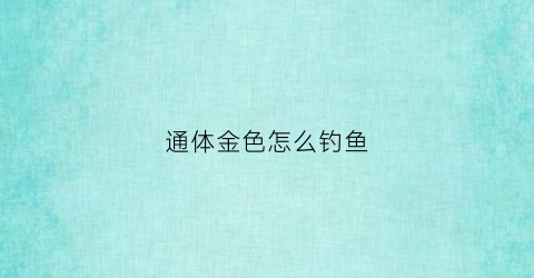 通体金色怎么钓鱼(通体金掉色吗)