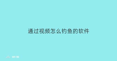 通过视频怎么钓鱼的软件