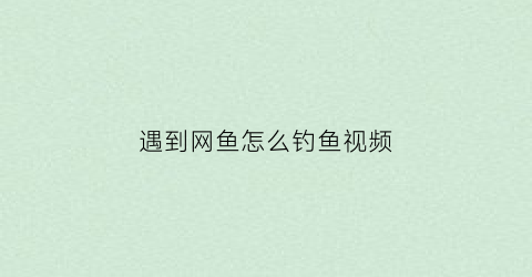遇到网鱼怎么钓鱼视频(网鱼拿什么做诱饵)