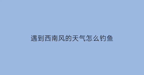 遇到西南风的天气怎么钓鱼