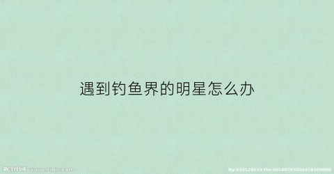 遇到钓鱼界的明星怎么办(明星钓鱼的综艺节目)