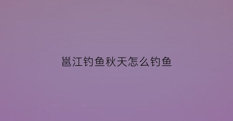 邕江钓鱼秋天怎么钓鱼