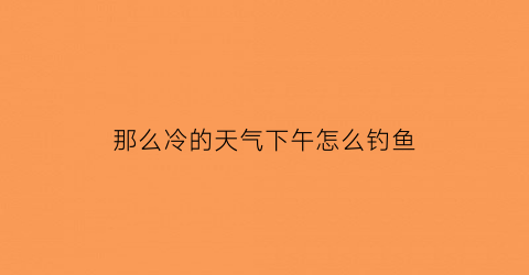 那么冷的天气下午怎么钓鱼(热天下午钓鱼的技巧)