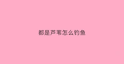 都是芦苇怎么钓鱼(芦苇多怎么钓鱼)