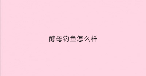 酵母钓鱼怎么样(酵母钓鱼怎么样才能发酵)