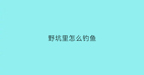 野坑里怎么钓鱼