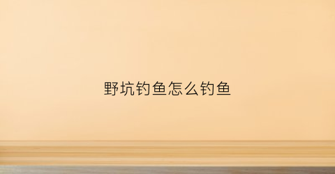 野坑钓鱼怎么钓鱼(野坑钓鱼如何选钓位)