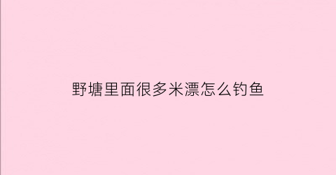 野塘里面很多米漂怎么钓鱼(野塘有鱼但钓不起来)