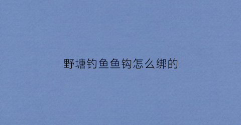 野塘钓鱼鱼钩怎么绑的(野塘钓鱼怎么样才能钓大鱼)