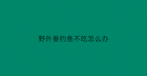 野外垂钓鱼不吃怎么办(野钓鱼不吃饵料怎么办)
