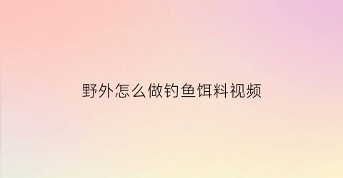 野外怎么做钓鱼饵料视频