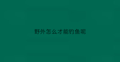 野外怎么才能钓鱼呢(野外如何钓鱼)