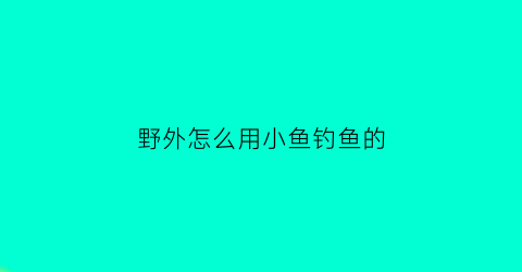 野外怎么用小鱼钓鱼的