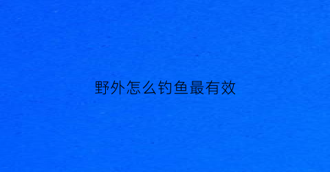 野外怎么钓鱼最有效(在野外如何钓大鱼)