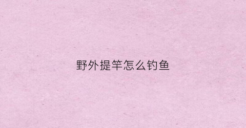 野外提竿怎么钓鱼(野外提竿怎么钓鱼最好)