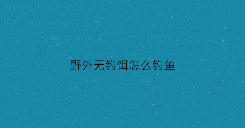 野外无钓饵怎么钓鱼