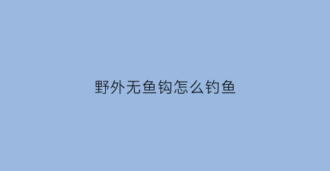 野外无鱼钩怎么钓鱼(野外无鱼钩怎么钓鱼的)