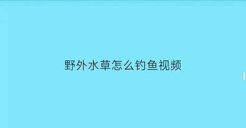 “野外水草怎么钓鱼视频(水草钓鱼视频教程)