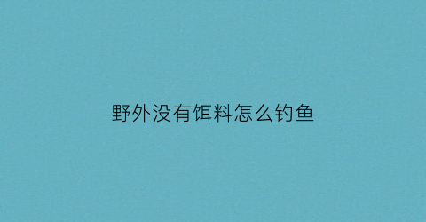 野外没有饵料怎么钓鱼(在野外没有鱼竿怎么钓鱼)