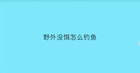 野外没饵怎么钓鱼(野钓没大鱼怎么办)