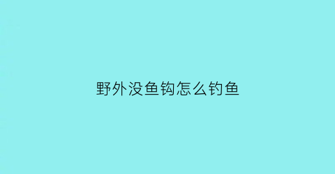 野外没鱼钩怎么钓鱼(野外没有工具钓鱼怎么办)