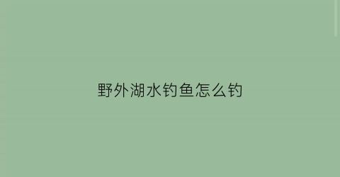 野外湖水钓鱼怎么钓(在湖里怎么钓鱼)