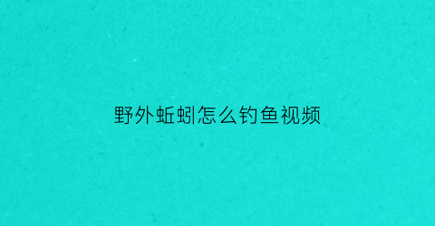 野外蚯蚓怎么钓鱼视频(用蚯蚓野钓怎样钓到大鱼)