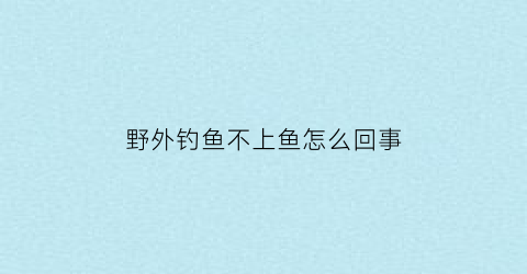 野外钓鱼不上鱼怎么回事(野外为什么钓不到鱼)