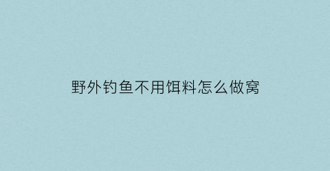 野外钓鱼不用饵料怎么做窝(钓鱼不用窝料可以钓到鱼吗)